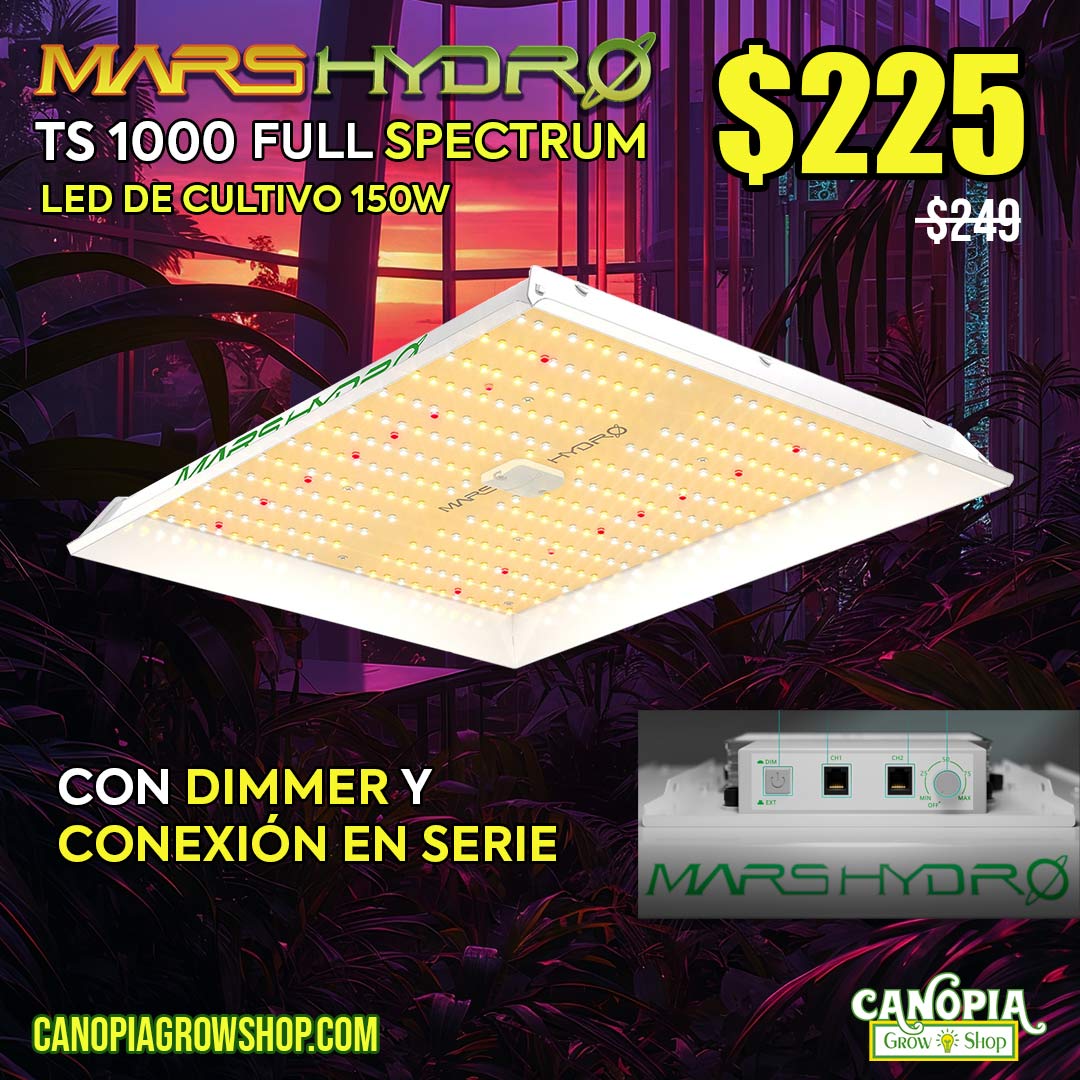 Canopia Growshop | Quito - Ecuador | Iluminación LED horticola | Luz LED Mars Hydro TS 1000 150 Watts - nuevo modelo