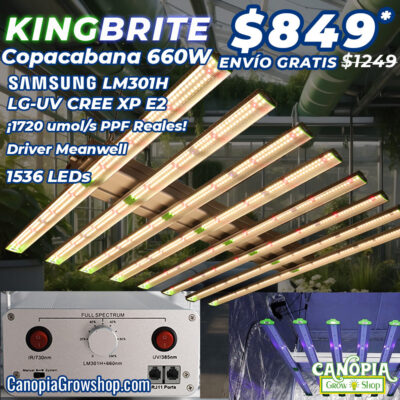 Canopiagrowshop.com | QUITO ECUADOR | Iluminación LED para CBD | Copacabana Sun 660 Watt PROFESIONAL - samsung - LG - CREE XP E - Promo 2024