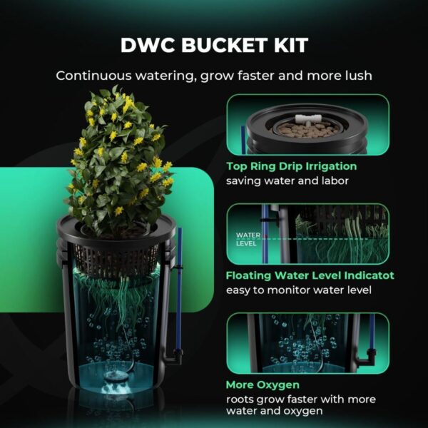 Canopia Growshop Quito - Ecuador | sistema hidropónico DWC Mars Hydro de 5 galones con 2 cubetas - Funcionamiento