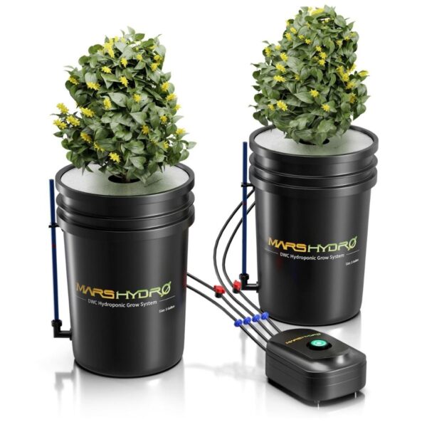 Canopia Growshop Quito - Ecuador | sistema hidropónico DWC Mars Hydro de 5 galones con 2 cubetas - Foto referencial
