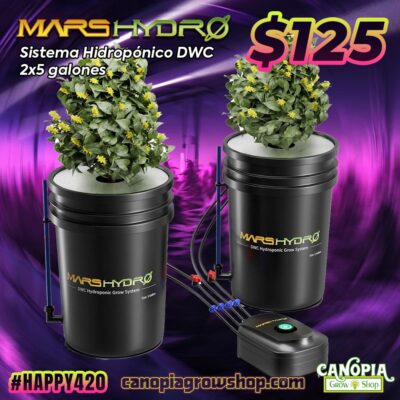 Canopia Growshop Quito - Ecuador | sistema hidropónico DWC Mars Hydro de 5 galones con 2 cubetas