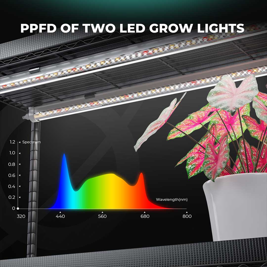 Canopiagrowshop.com | Quito - Ecuador | Estante Mars Hydro para plantas de interior 150W - PPFD de las leds